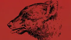 Can You Find the Person in This Optical Illusion Image?