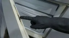 What should you do to prevent mold from forming on your refrigerator door seal?