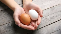 Few People Know: What’s the Difference Between White and Brown Eggs?