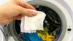 Why Put a Wet Wipe in the Washing Machine: A Trick You Probably Didn’t Know