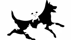 How many dogs do you see in the picture? A quick test will reveal your psychological age.