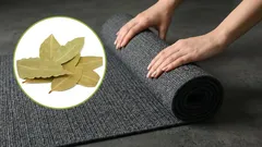 Put a bay leaf under the rug, and by morning you’ll be rid of your everyday problem.