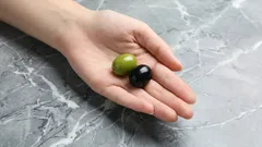 Few People Know: What’s the Difference Between Green and Black Olives?