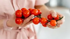 How to Store Tomatoes Properly So They Stay Firm and Juicy for Up to 7 Days