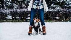 What’s the Ideal Length for a Walk with a Puppy?